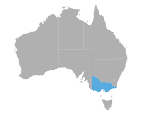 APT - VIC